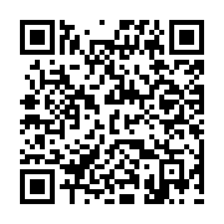 QR code for 311-OHG