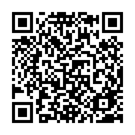 QR code for 311-PPG