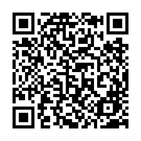 QR code for 311-WNN