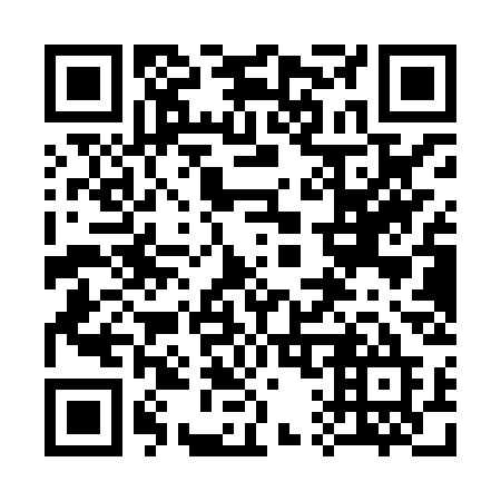 QR code for 311-XSE