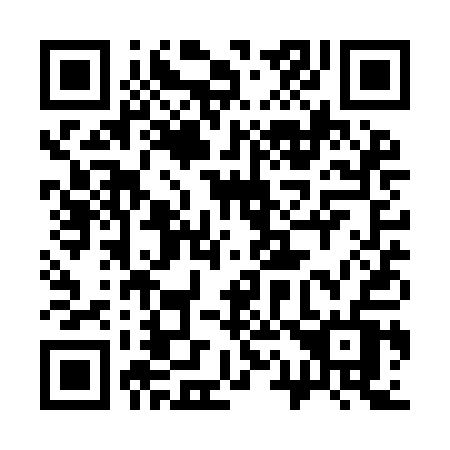 QR code for 311-YAV