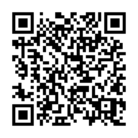 QR code for 311-YLP
