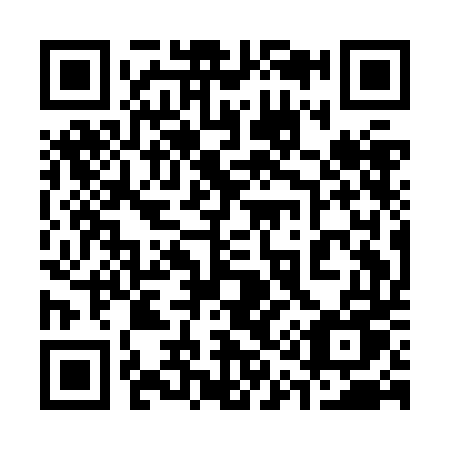 QR code for plate 311-JDU