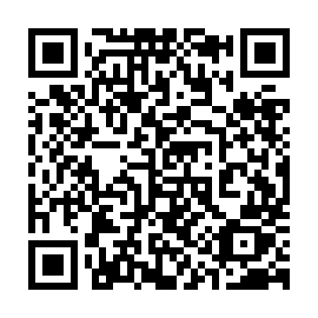 QR code for plate 311-JMZ