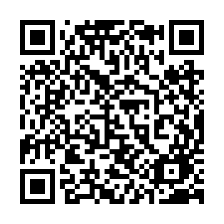 QR code for 311RUG