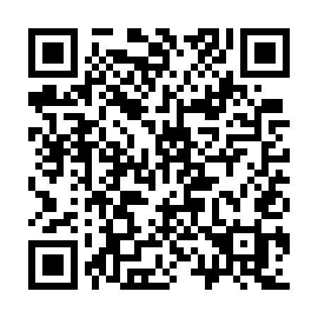 QR code for 311WUI