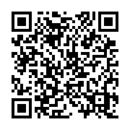 QR code for 313-CBZ