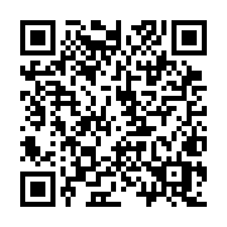 QR code for 313-CMT