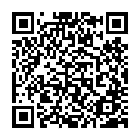 QR code for 313-DNR
