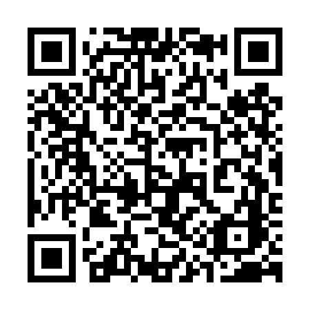 QR code for 313-DVC