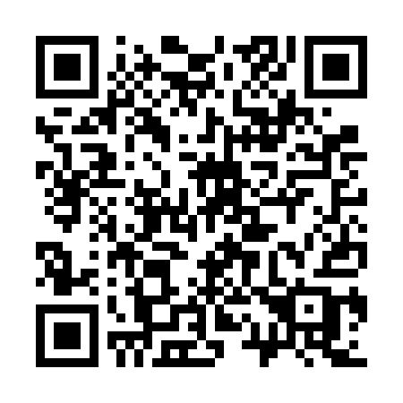 QR code for 313-FAB