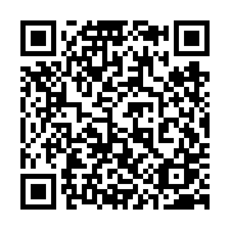 QR code for 313-FPS