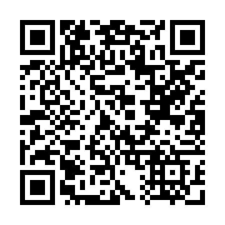QR code for 313-JFG