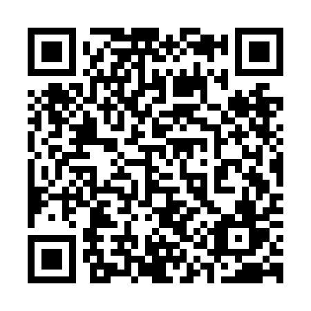 QR code for 313-NAV