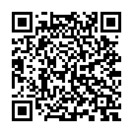 QR code for 313-PTP