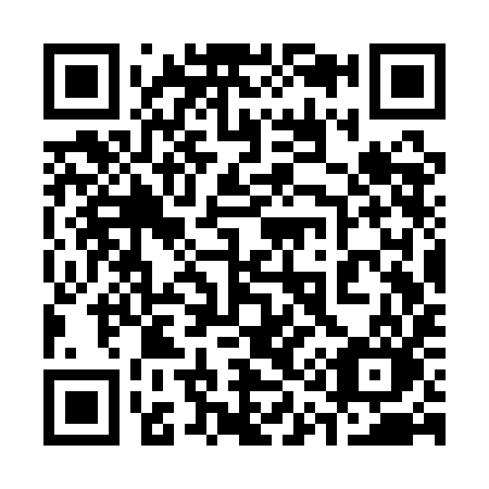 QR code for 313-QIO