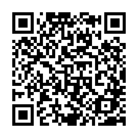 QR code for 313-QLK