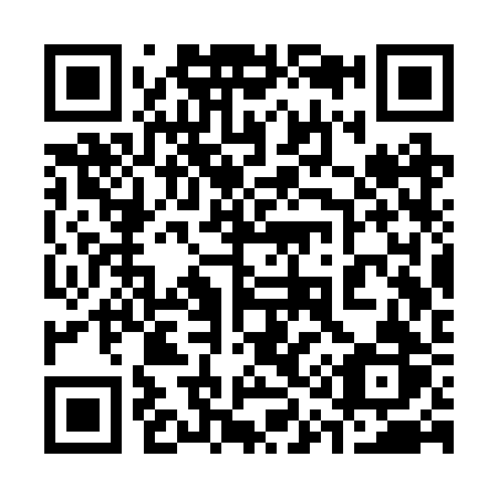 QR code for 313-RRR