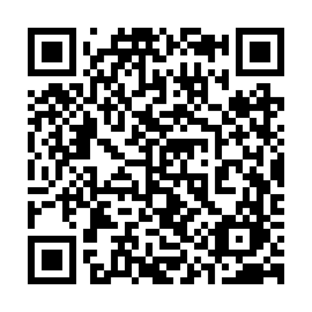 QR code for 313-RVO