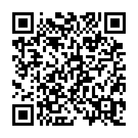 QR code for 313-SNG
