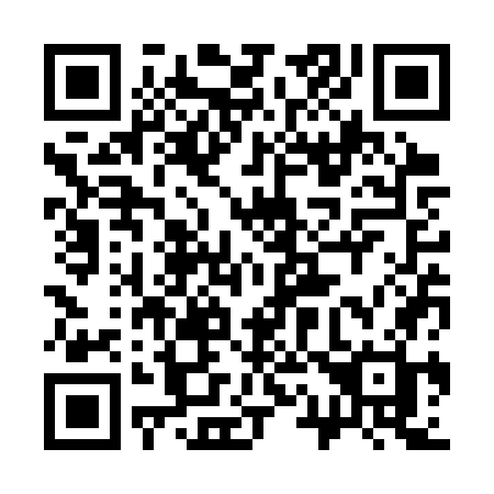 QR code for 313-SWH