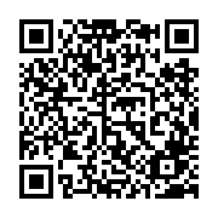 QR code for 313-WDV