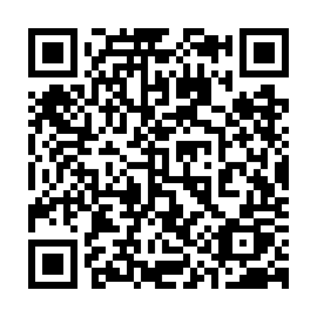 QR code for 313-WOP