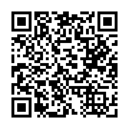 QR code for 313ADS