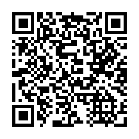 QR code for 313CMM