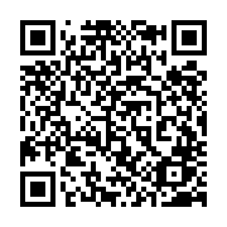 QR code for plate 313-ENR