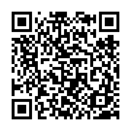 QR code for 313FFS