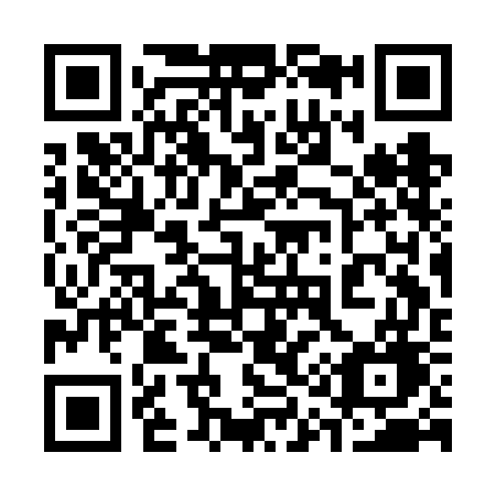 QR code for 313FGG