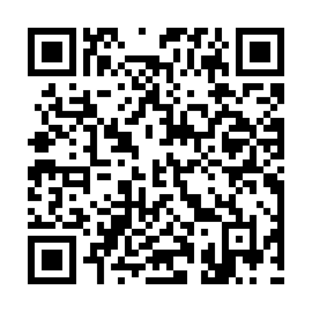 QR code for plate 313-GHL