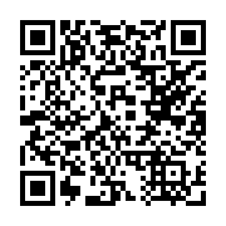 QR code for 313HQS