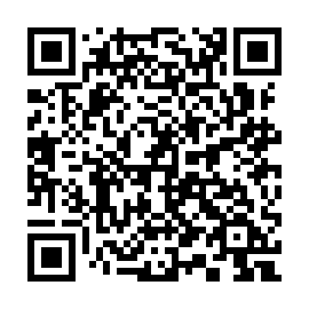 QR code for plate 313-IAF
