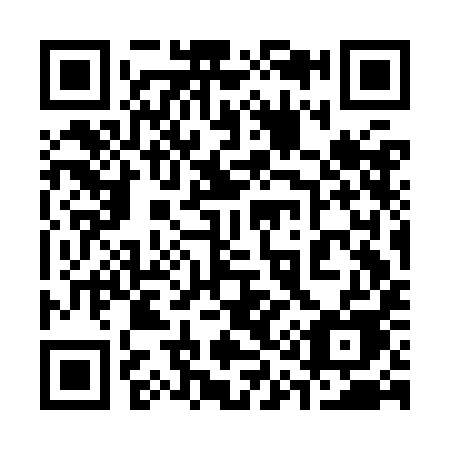 QR code for plate 313-KIE