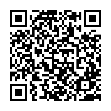 QR code for plate 313-KLT