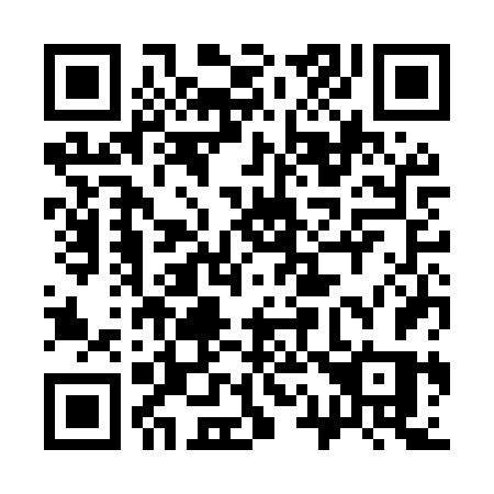 QR code for 313MVS
