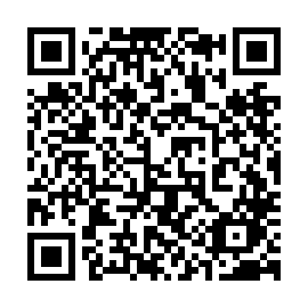 QR code for 313NLO