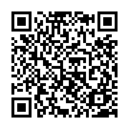 QR code for plate 313-OGW