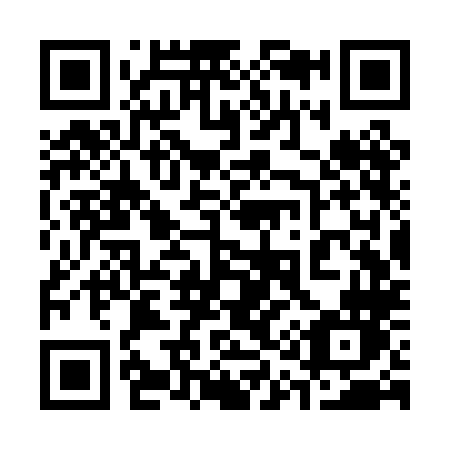 QR code for 313PLN