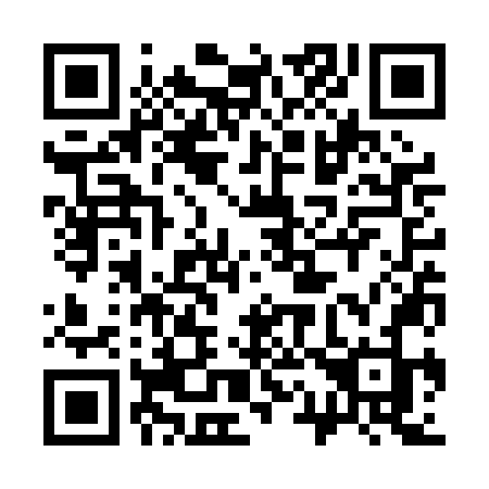 QR code for 313PNJ