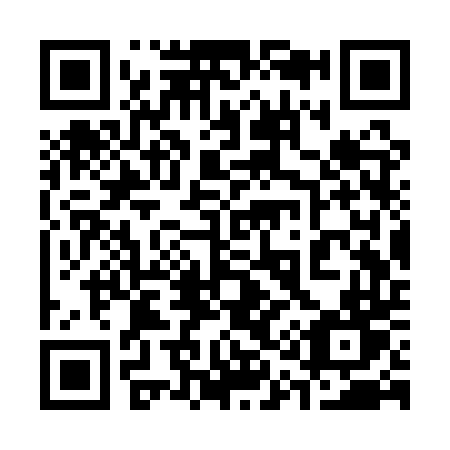 QR code for plate 313-QTT