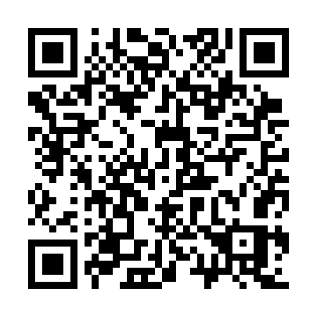 QR code for 313SGS