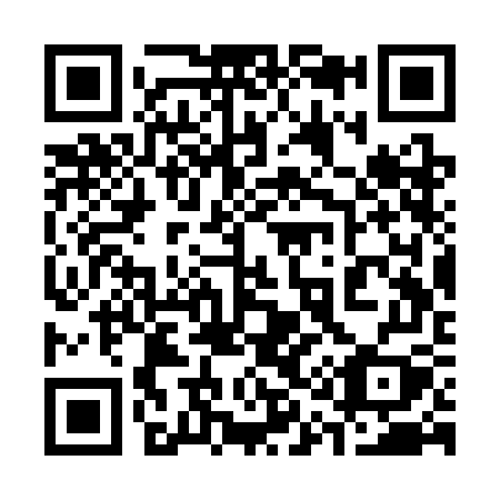QR code for plate 313-SGY