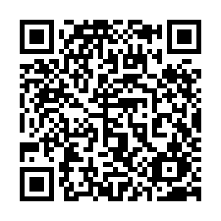 QR code for plate 313-XKN