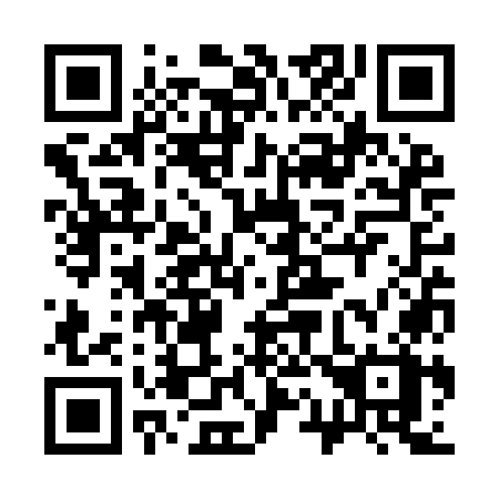 QR code for plate 313-YOX
