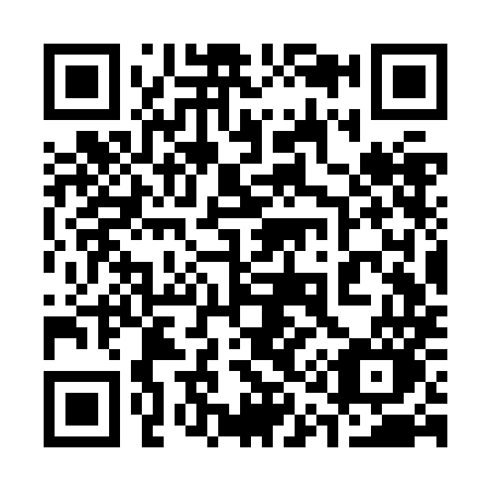 QR code for plate 313-ZMO