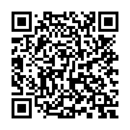 QR code for plate 315-NSA