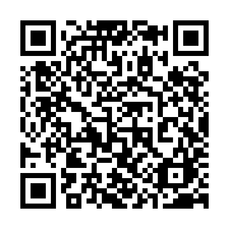 QR code for plate 316-QIC